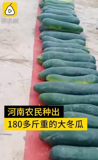 吃瓜四大网红是哪四个