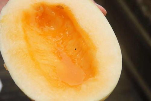 吃瓜爱好者论坛官网,网罗全网热点，畅享轻松娱乐时光