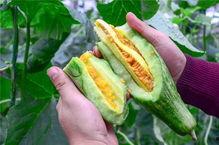 吃瓜中国网红,揭秘吃瓜中国网红的崛起之路