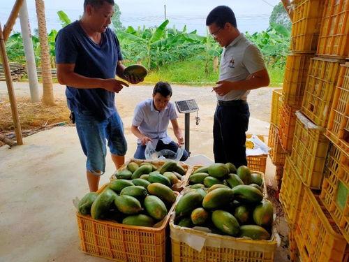 我只想安静吃瓜书包网,揭秘书包网中的安静食瓜时光